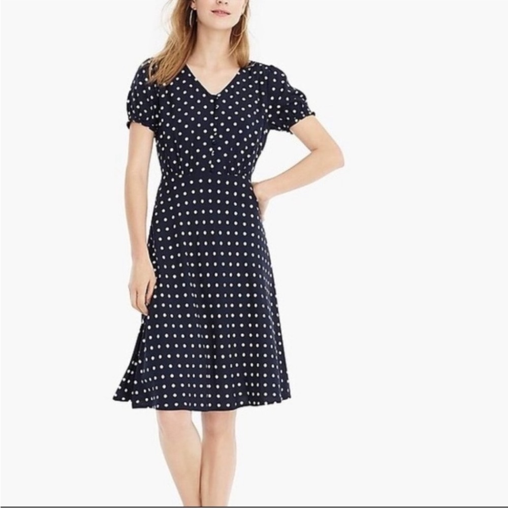 J. Crew Navy and White Fit and Flare Dress